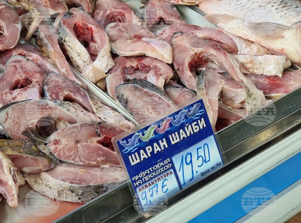 Ямбол - риба - цени