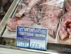 Ямбол - риба - цени