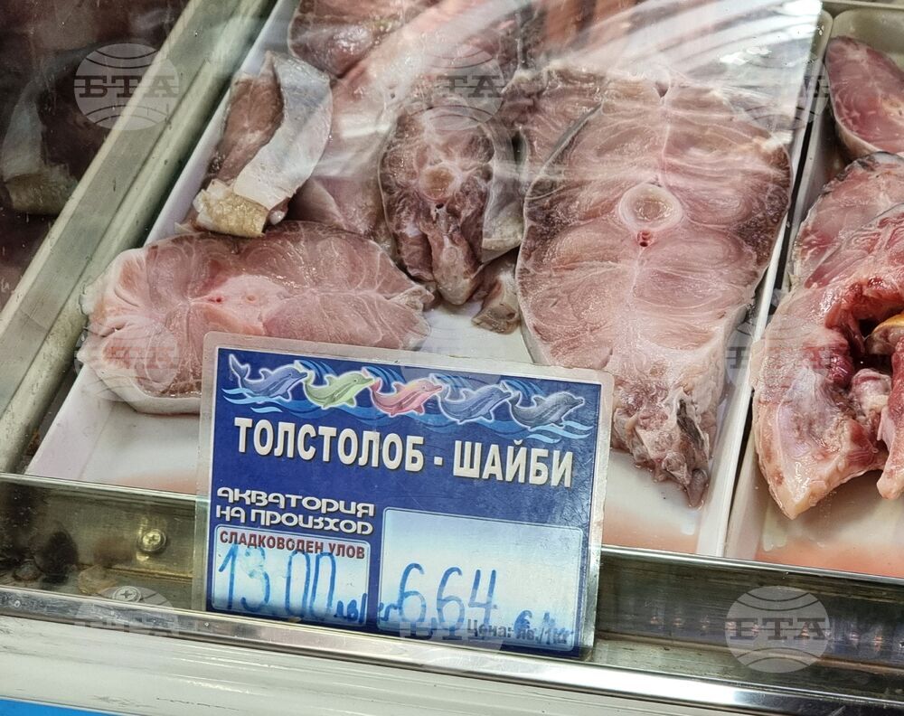 Ямбол - риба - цени