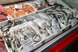 Ямбол - риба - цени