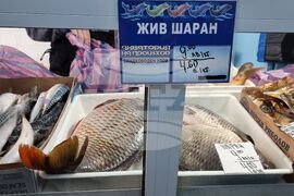 Ямбол - риба - цени