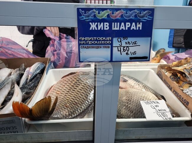 Ямбол - риба - цени