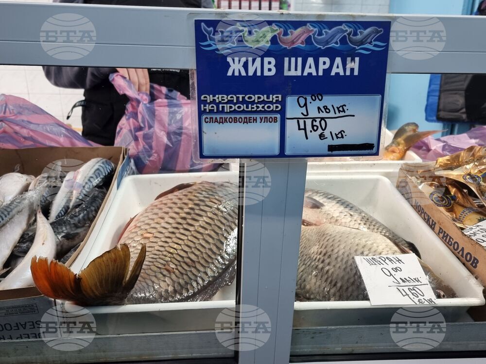 Ямбол - риба - цени