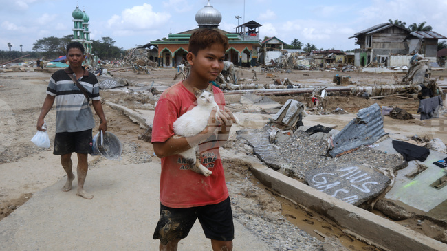 Седем души са загинали, а 82 са в неизвестност след свлачище в провинция Западна Ява в Индонезия