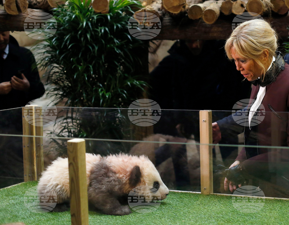 Френската първа дама Брижит Макрон посети в Китай гигантска панда, родена във Франция
