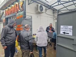 Търговище - шаран - прясна риба - цени