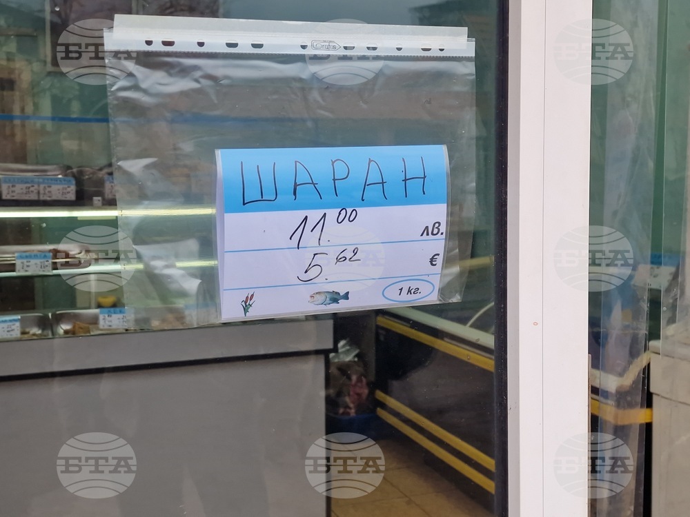 Търговище - шаран - прясна риба - цени