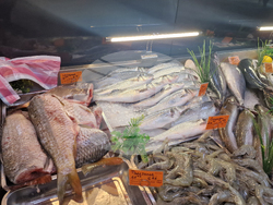 Търговище - шаран - прясна риба - цени