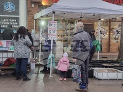 Враца - риба - цени