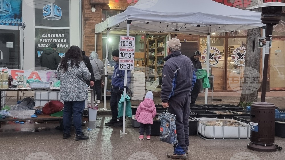 Враца - риба - цени