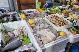 Враца - риба - цени