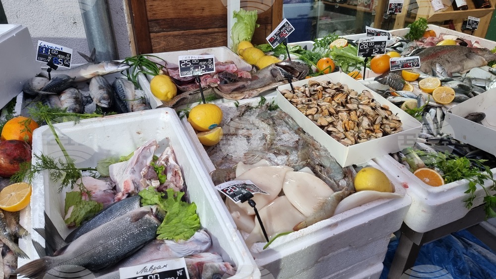 Враца - риба - цени