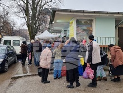 Враца - риба - цени