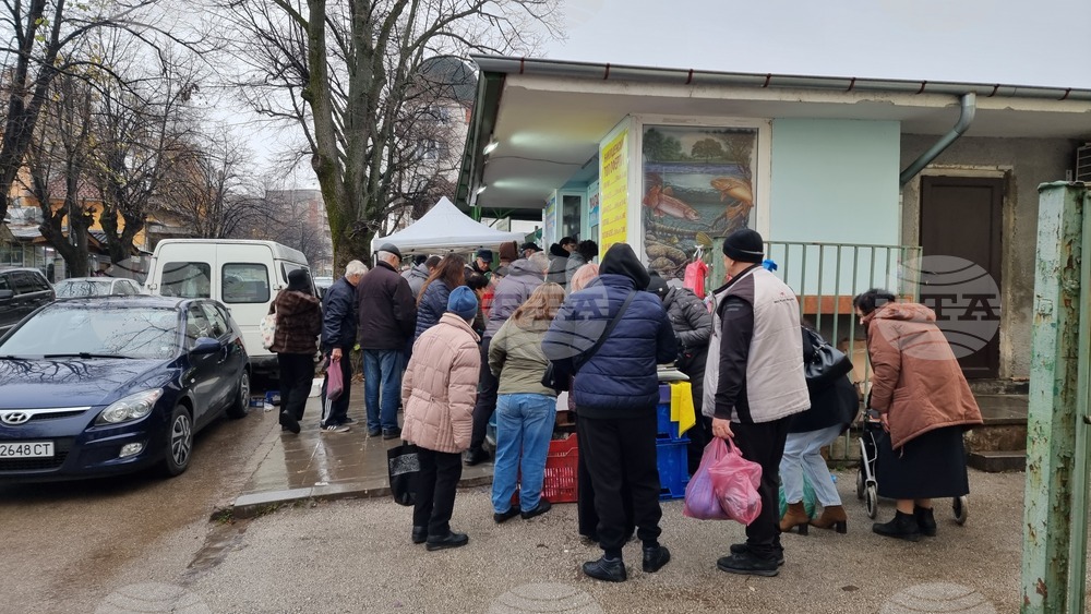 Враца - риба - цени