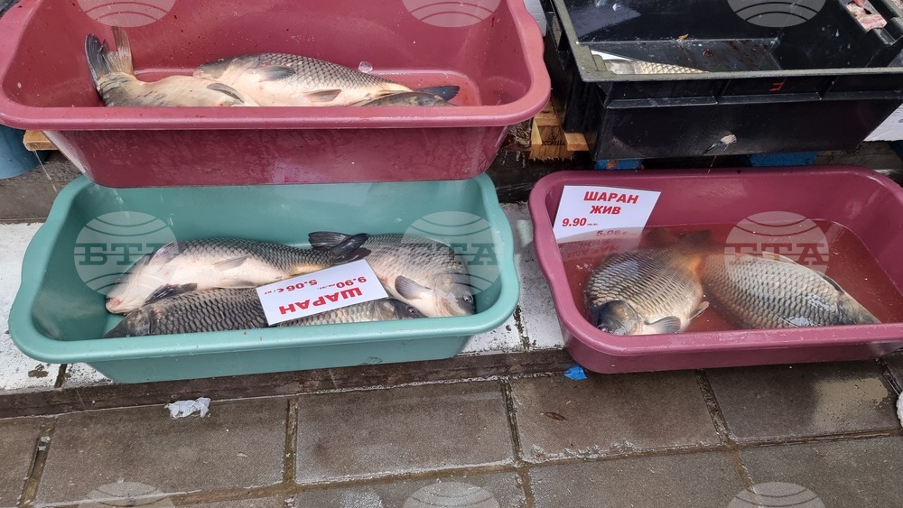 Враца - риба - цени