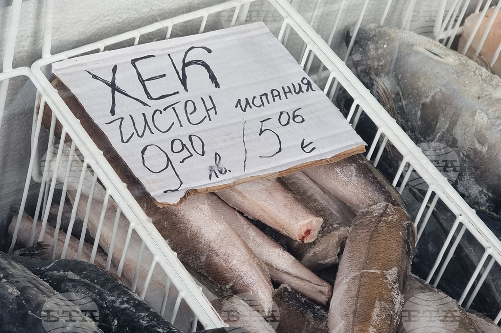 Перник - риба - Никулден