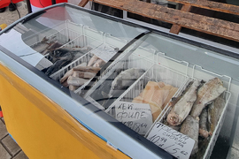 Перник - риба - Никулден