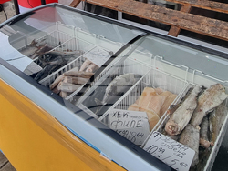 Перник - риба - Никулден