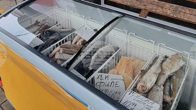 Продължава търсенето на риба в Перник в навечерието на Никулден, търговци смятат, че пикът ще бъде утре