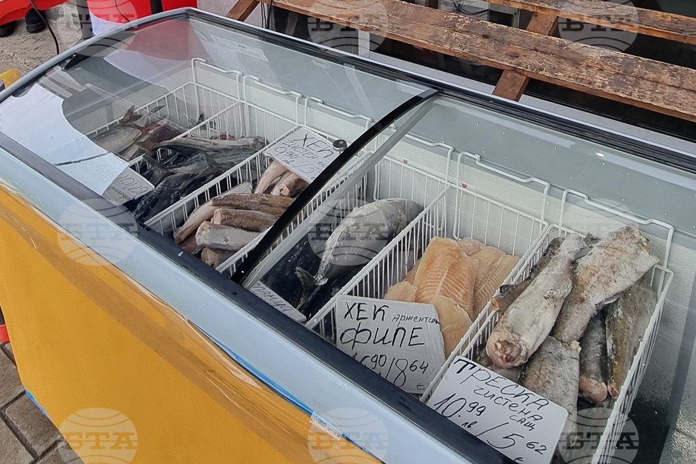 Перник - риба - Никулден