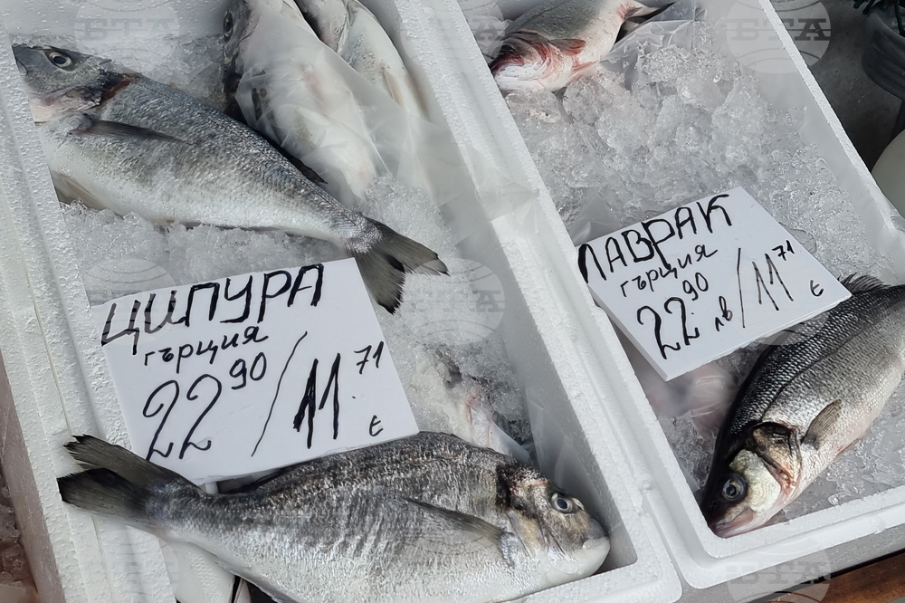 Перник - риба - Никулден