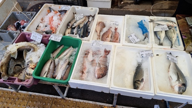 Шаран от 10 до 17 лева за килограм се продава в Монтана