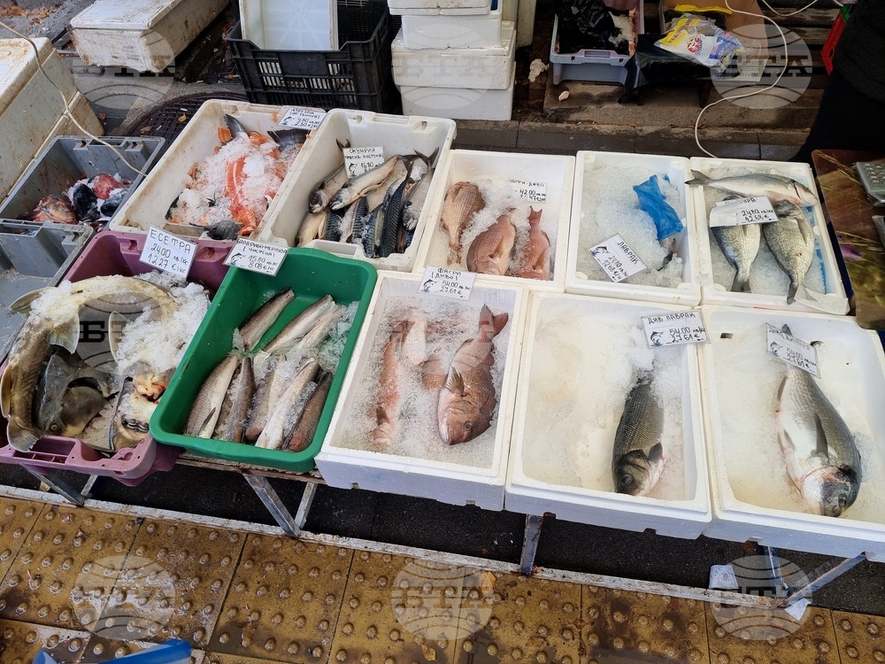 Шаран от 10 до 17 лева за килограм се продава в Монтана