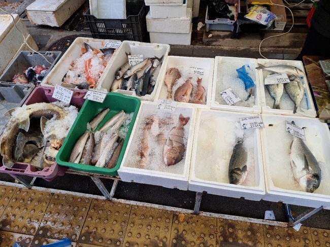 Шаран от 10 до 17 лева за килограм се продава в Монтана