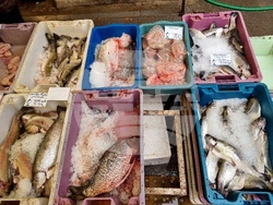 Монтана - Никулден - 2