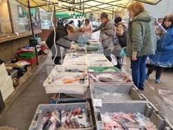 Монтана - Никулден - 5