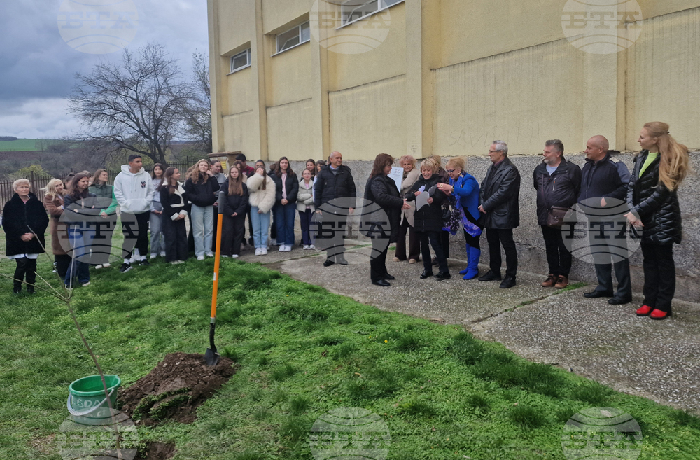 Разград - гимназия - първи випуск - дръвче