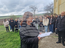 Разград - гимназия - първи випуск - дръвче