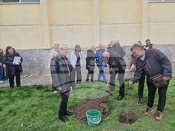 Разград - гимназия - първи випуск - дръвче