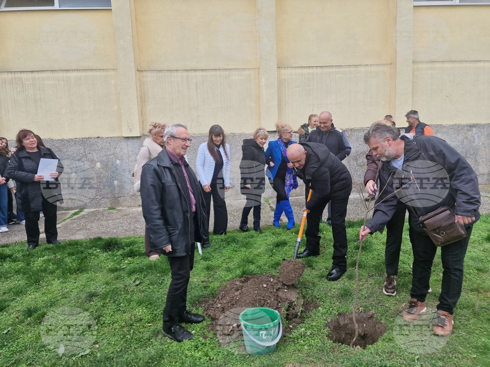 Разград - гимназия - първи випуск - дръвче