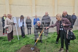 Разград - гимназия - първи випуск - дръвче