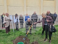 Разград - гимназия - първи випуск - дръвче