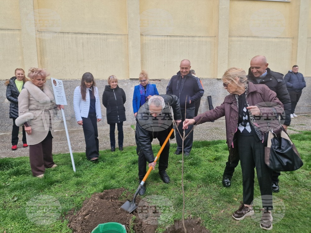Разград - гимназия - първи випуск - дръвче