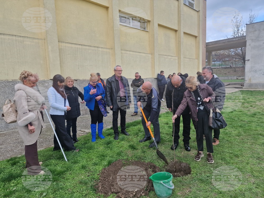 Разград - гимназия - първи випуск - дръвче