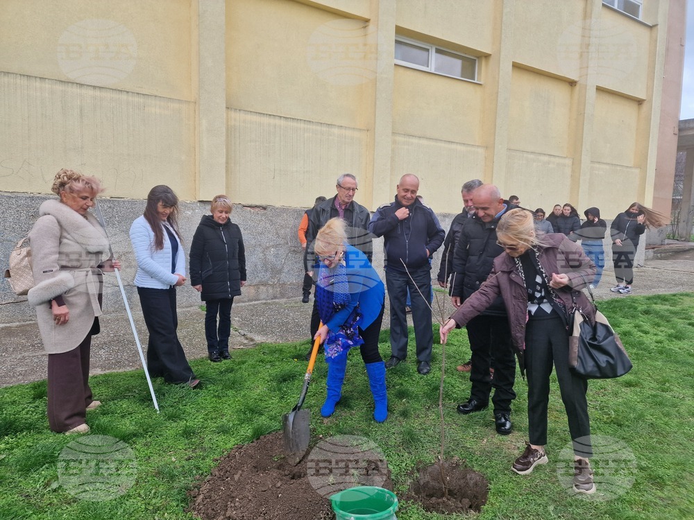 Разград - гимназия - първи випуск - дръвче