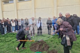 Разград - гимназия - първи випуск - дръвче