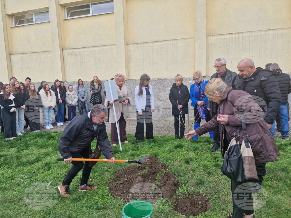 Разград - гимназия - първи випуск - дръвче