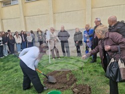 Разград - гимназия - първи випуск - дръвче