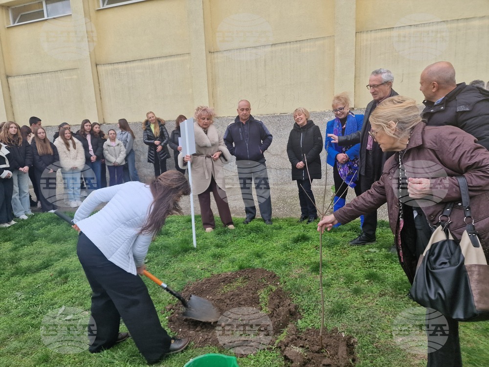 Разград - гимназия - първи випуск - дръвче