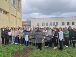 Разград - гимназия - първи випуск - дръвче