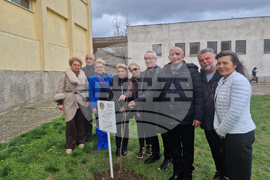 Разград - гимназия - първи випуск - дръвче