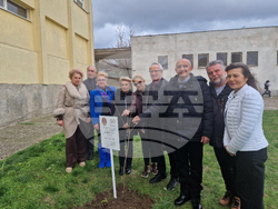 Разград - гимназия - първи випуск - дръвче