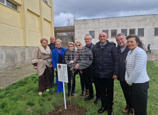 Разград - гимназия - първи випуск - дръвче