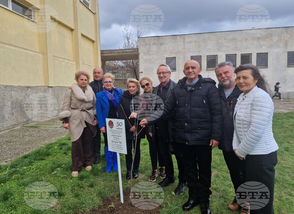 Разград - гимназия - първи випуск - дръвче