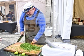 Национален рибен фест