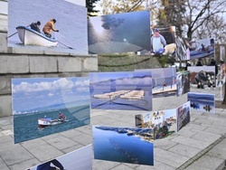 Национален рибен фест